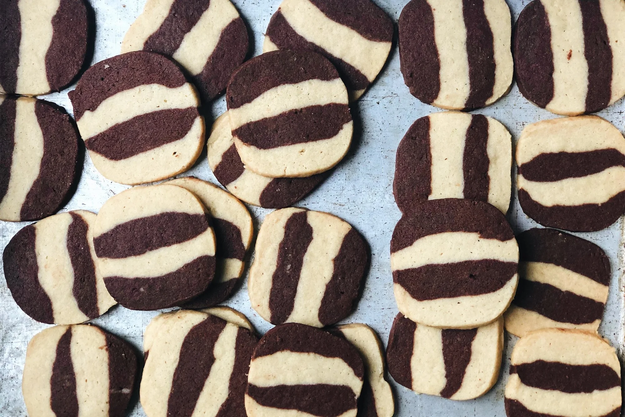 zebra-cookies-kreasi-kue-cantik-dan-lezat-semua