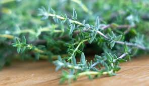 Thyme Sprigs