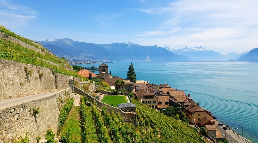 Lavaux Vineyard: Why This Swiss Wine Region Should Be on Your Bucket List