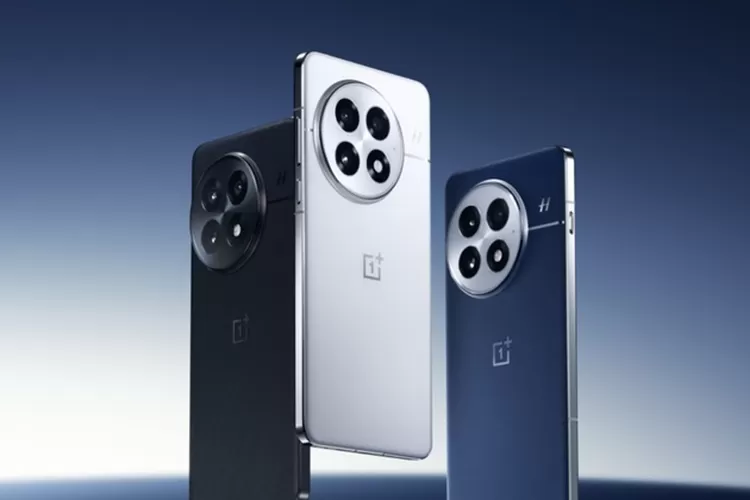 HP OnePlus 13T