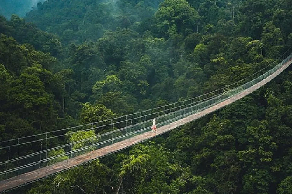 Situ Gunung