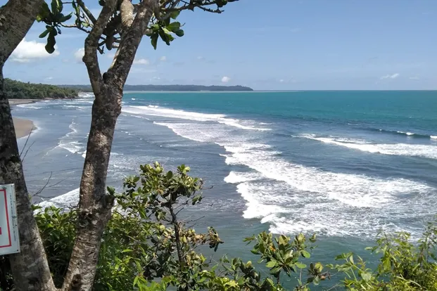 Harmoni Hutan dan Laut yang Tak Terlupakan dari Pantai Karang Nini