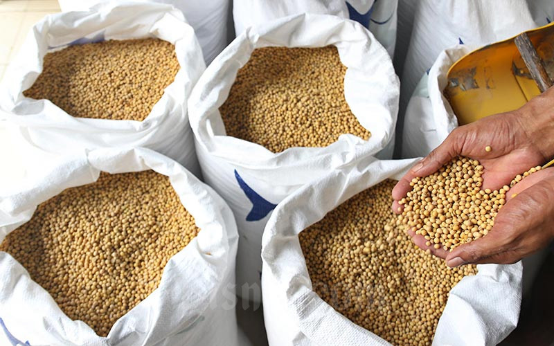 Harga Kedelai Melonjak