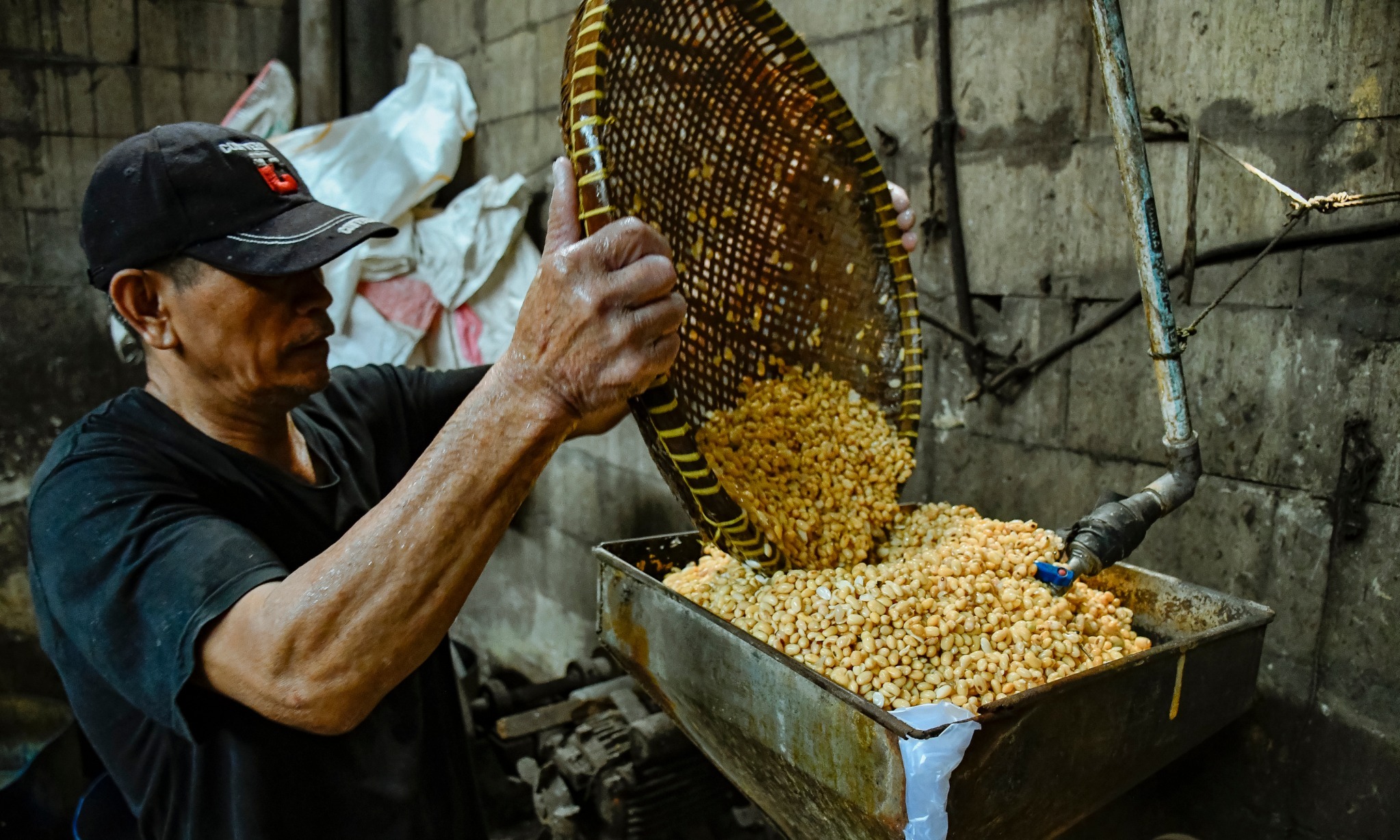 Harga Kedelai Melonjak