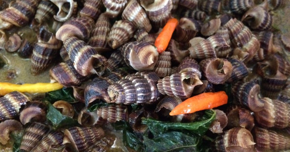 Gulai Siput Kuning Kelezatan Tradisional dengan Cita Rasa Gurih yang Menggugah Selera 3 Gulai Siput